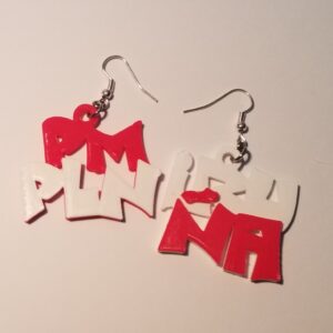 Pendientes PMPLN IRUÑA